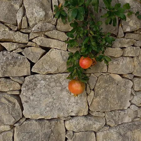 Agroturismo Agriturismobugilfezza Di Tgesd Módica